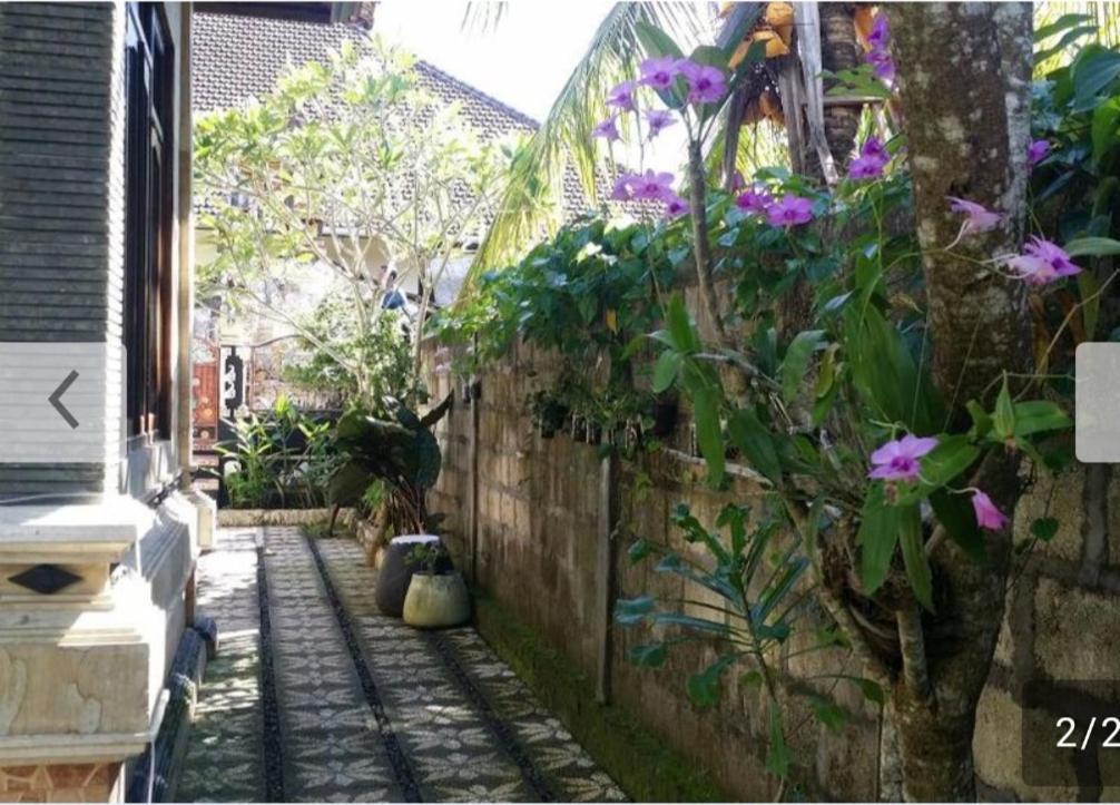 Kuwera Homestay Batununggul Εξωτερικό φωτογραφία